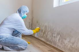 Why You Should Choose Our Mold Remediation Services in Washington Mills, NY