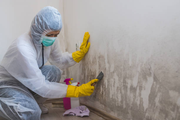 Mold Remediation for Rental Properties in Washington Mills, NY